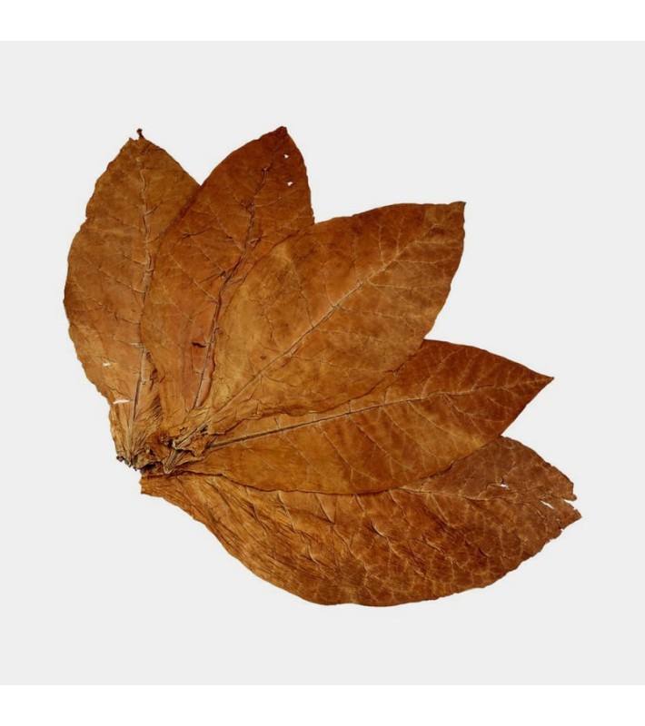 Feuilles de Tabac Brutes BURLEY BRUN Vrac/GR