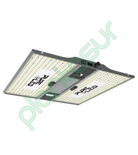 Pure Led Q240 V2.0 (240W)