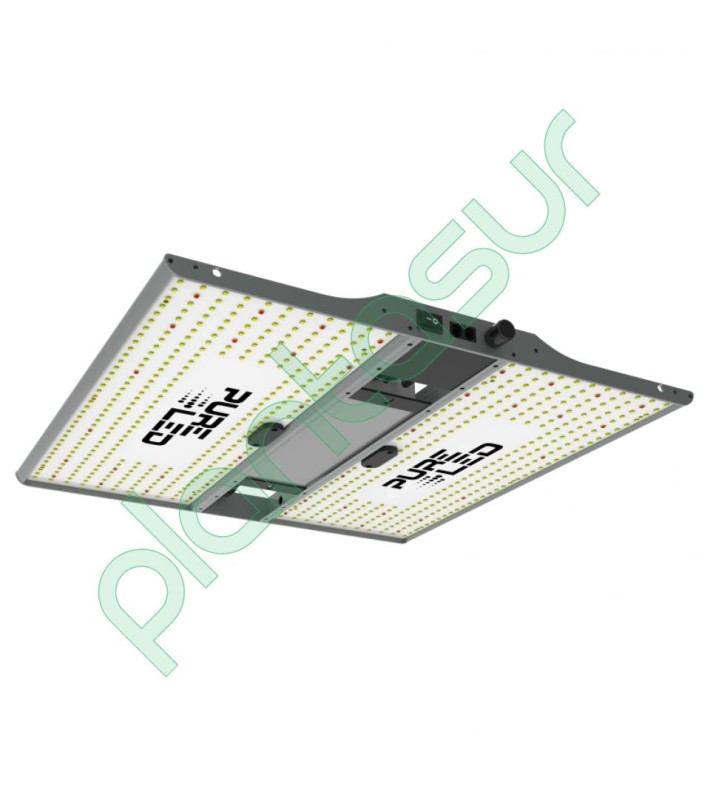 Pure Led Q240 V2.0 (240W)