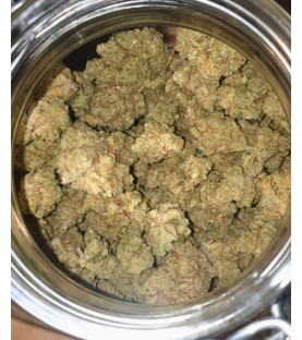 Fleurs CBD - Indoor Jack Herer 15% - VRAC au Gramme