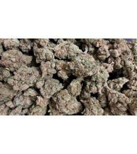 Fleurs CBD - Indoor Jack Herer 15% - VRAC au Gramme