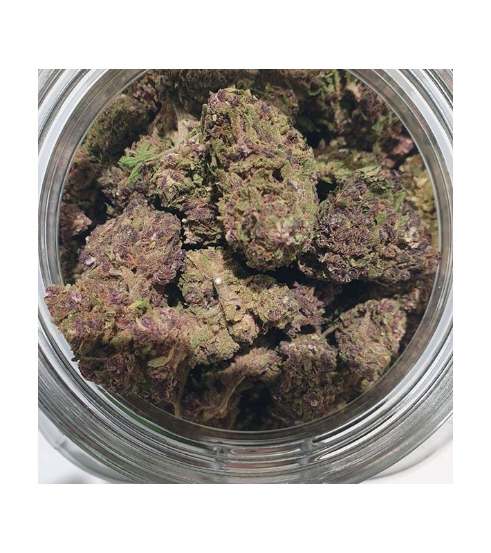 Fleurs CBD - Purple Power 0,2% THC  - Vrac au gramme